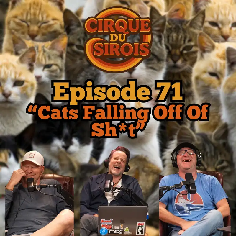 "Cats Falling Off Of Sh*t"