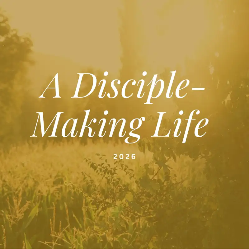 Disciple... others as you go (better together): Matthew 28 (esp. v.16-20) (Ben Connelly)