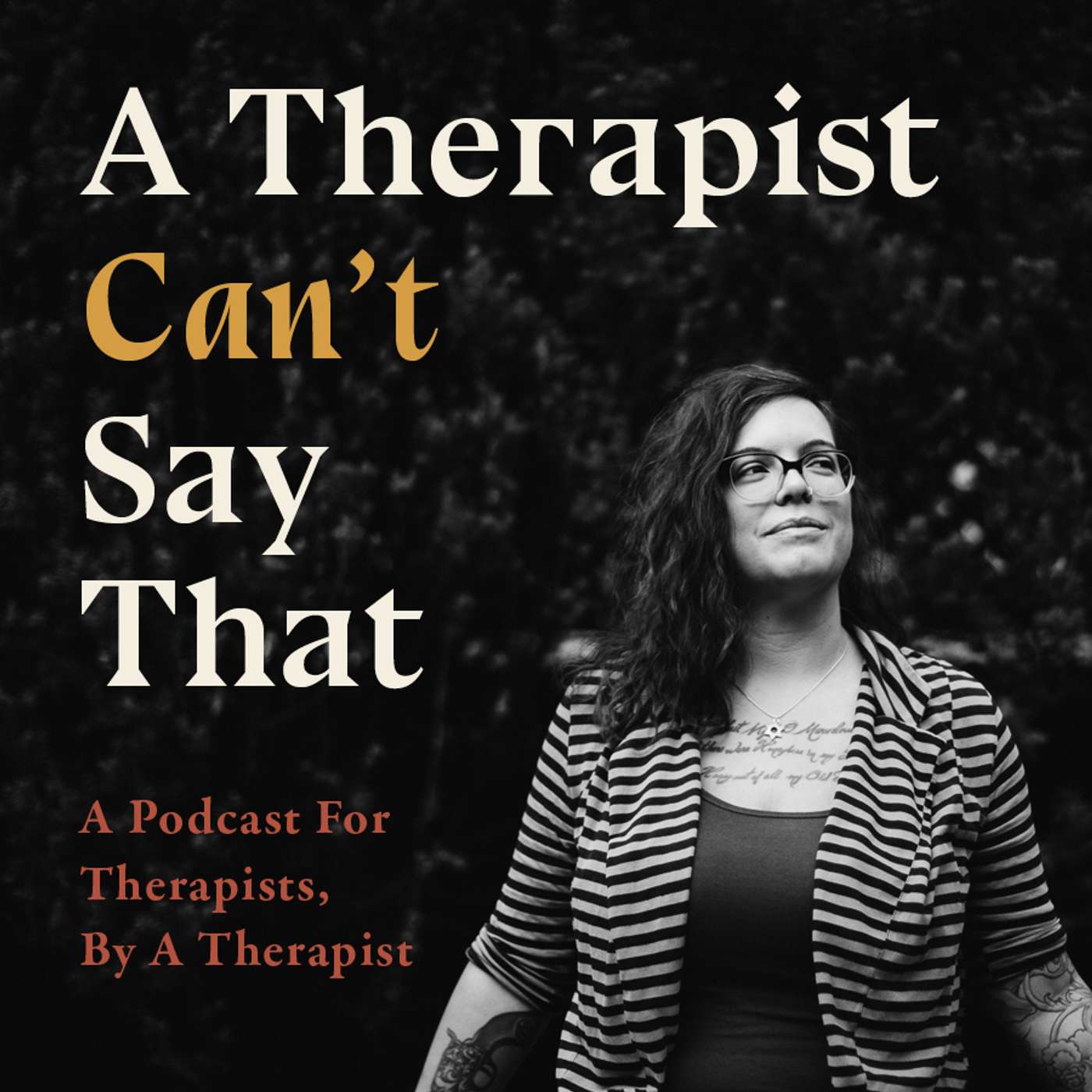 Podcast Image