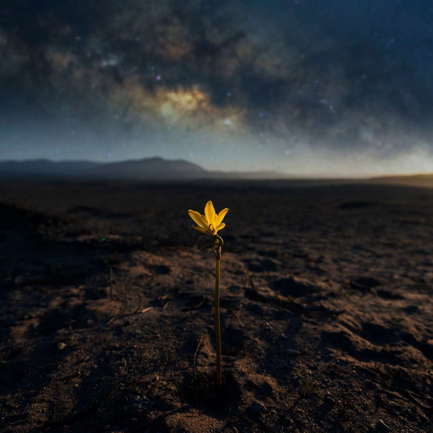 What ought we be? Hope, despair and the resilience of life with Professor David Farrier What ought we be? Hope, despair and the resilience of life with Professor David Farrier