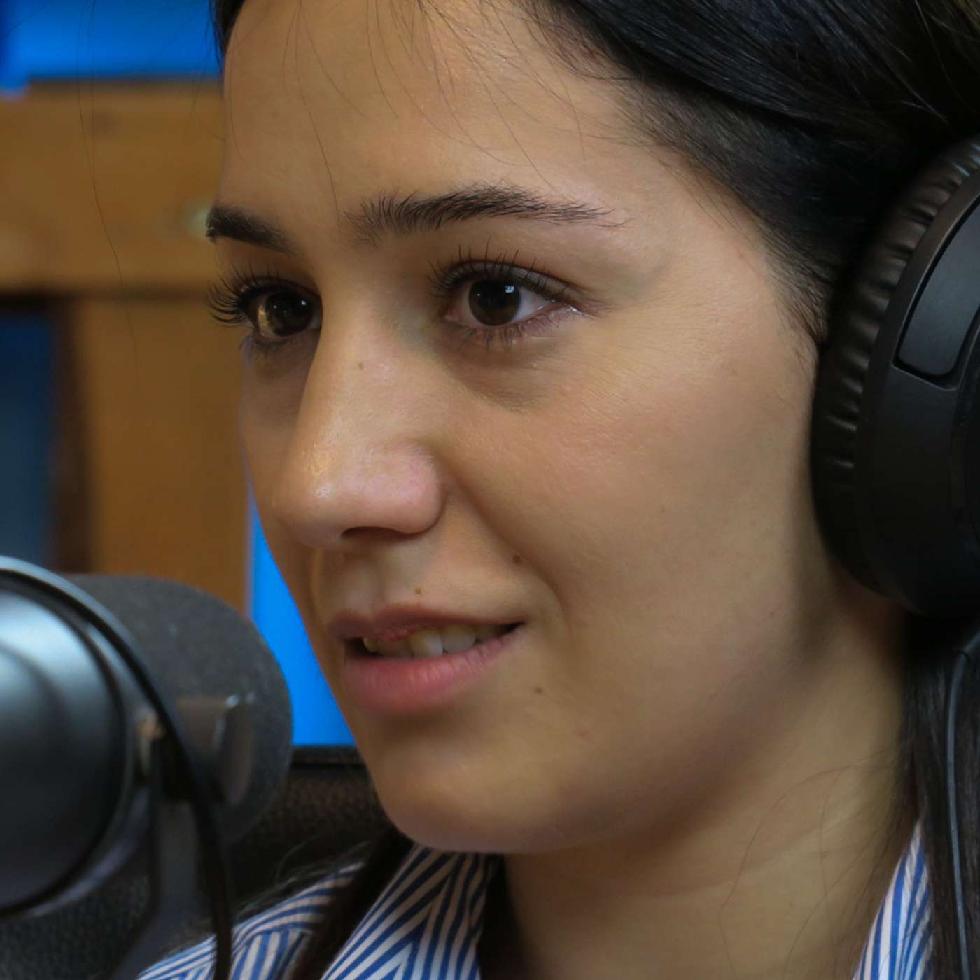 Ribnikar, Dubona, Malo Orašje / CINS podkast o majskim tragedijama, Agelast 216