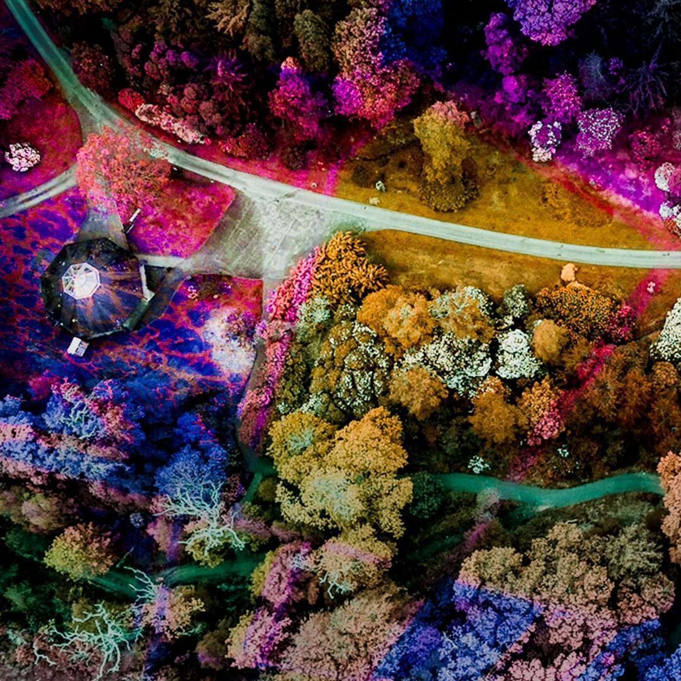 The Ten Thousand Things