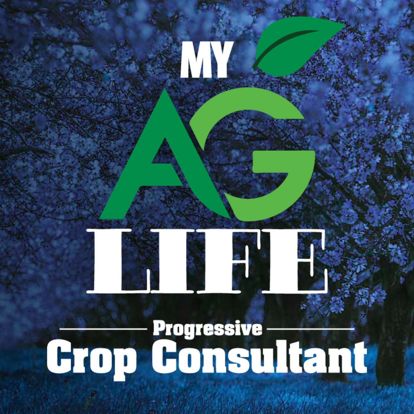 Weed Control in Lettuce: A Comparison of Various Weed Management Strategies and Costs / Progressive Crop Consultant July/August 2020