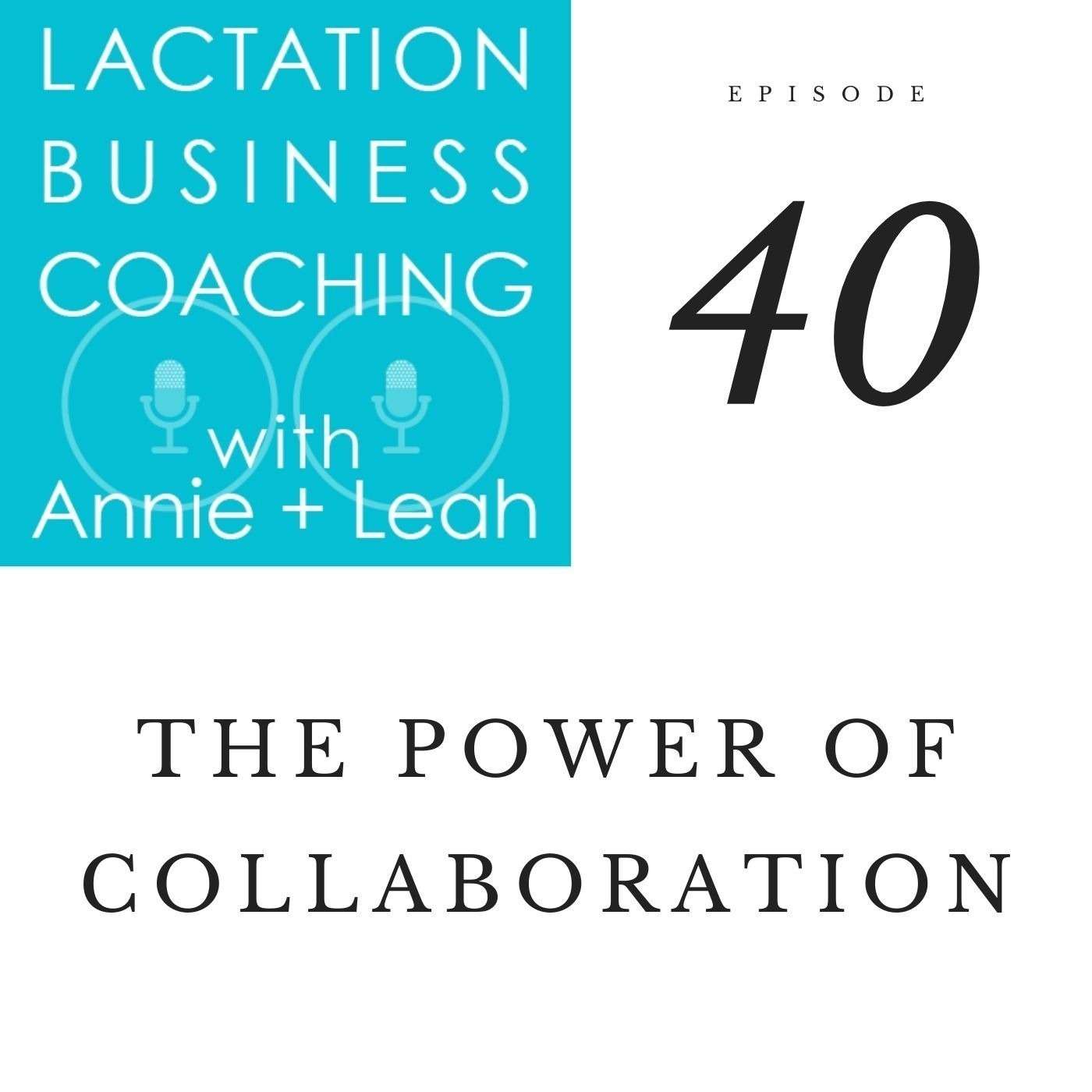 Ep 40 | The Power of Collaboration with Nikki & Nikki