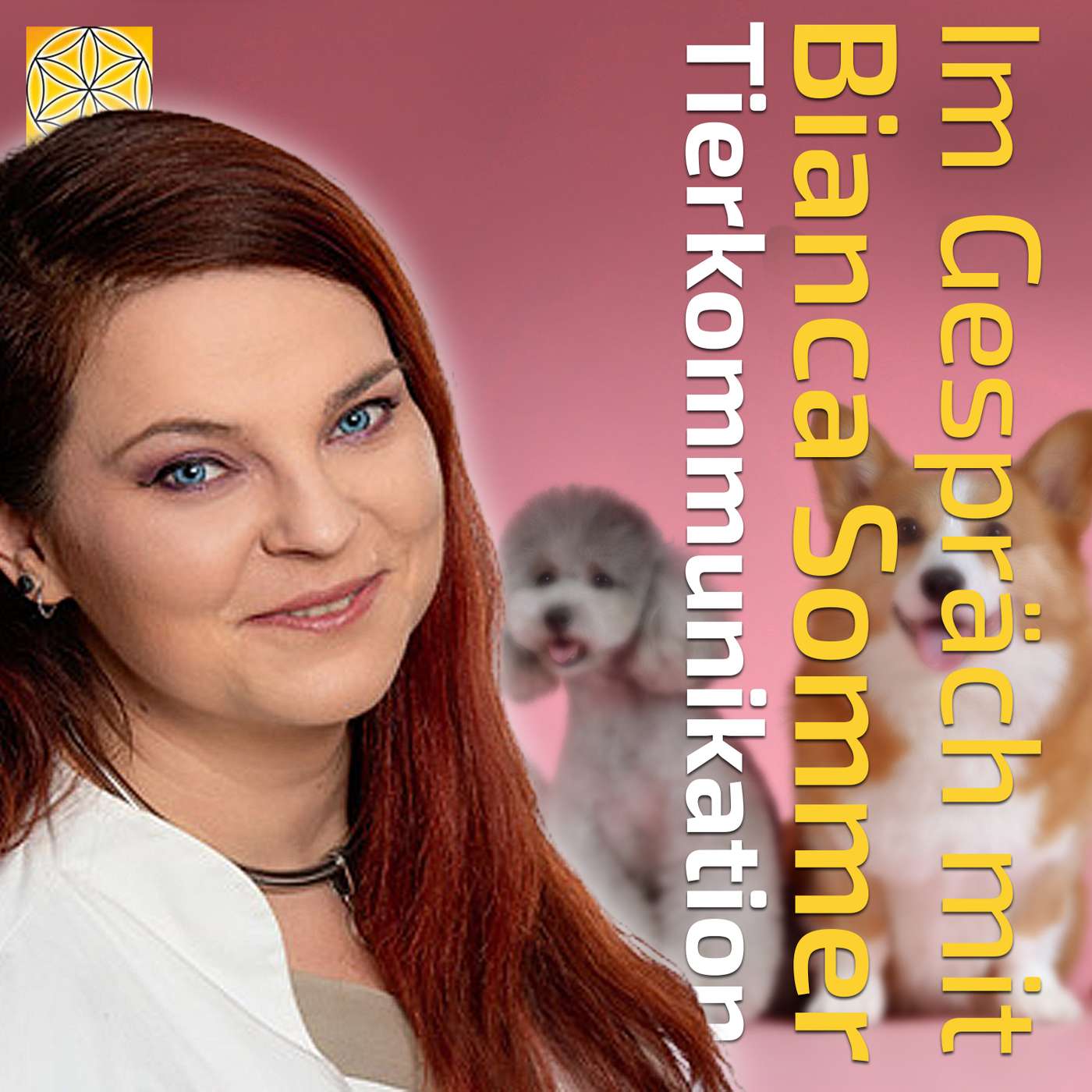 Channeling Kongress | Botschaften aus der Geistigen Welt