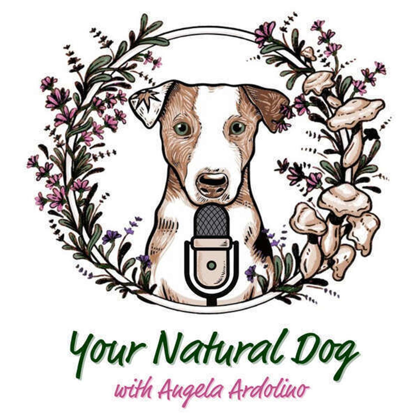 28. Apple Cider Vinegar for Dogs with Janine Ling episode artwork