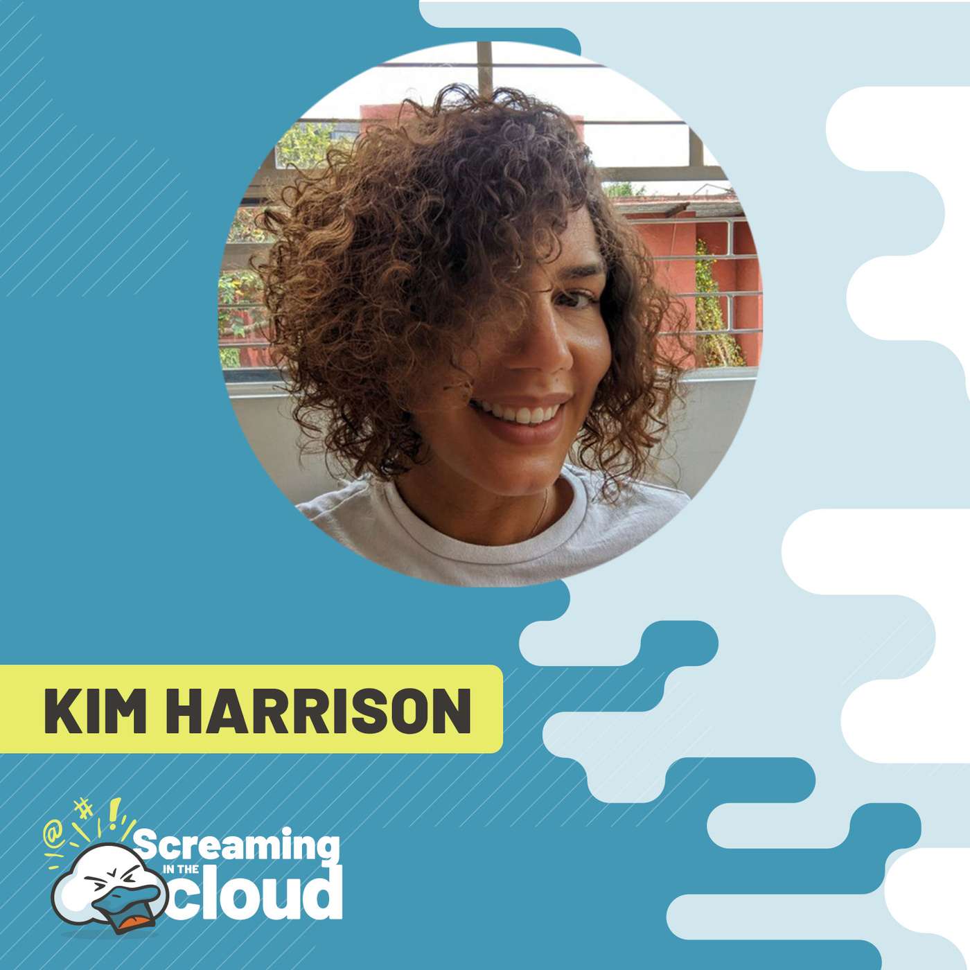 Screaming in the Cloud