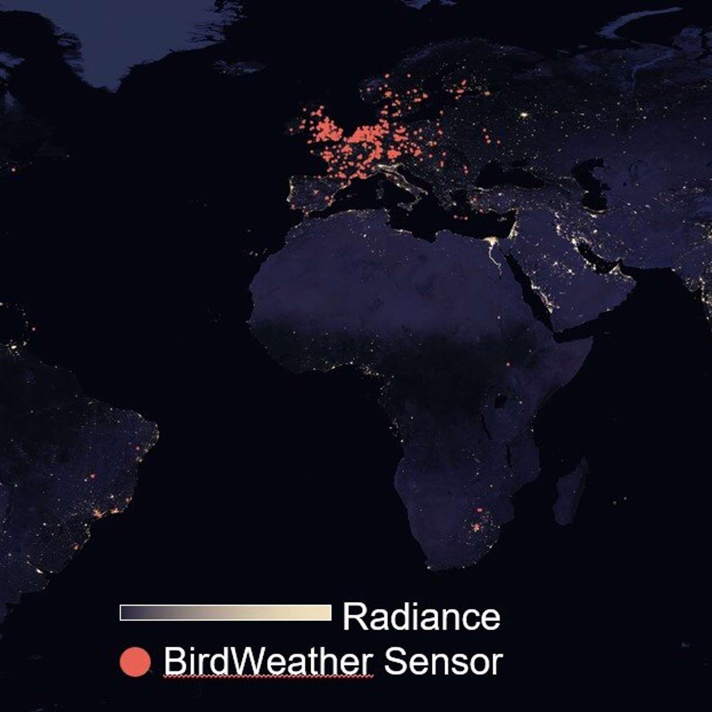 Light Pollution Alters Bird Songs, Europe's Solar Power Revolution, NASA's OSIRIS-REx Reveals Bennu's Secrets, AI Reduces Doctor Burnout, and more...