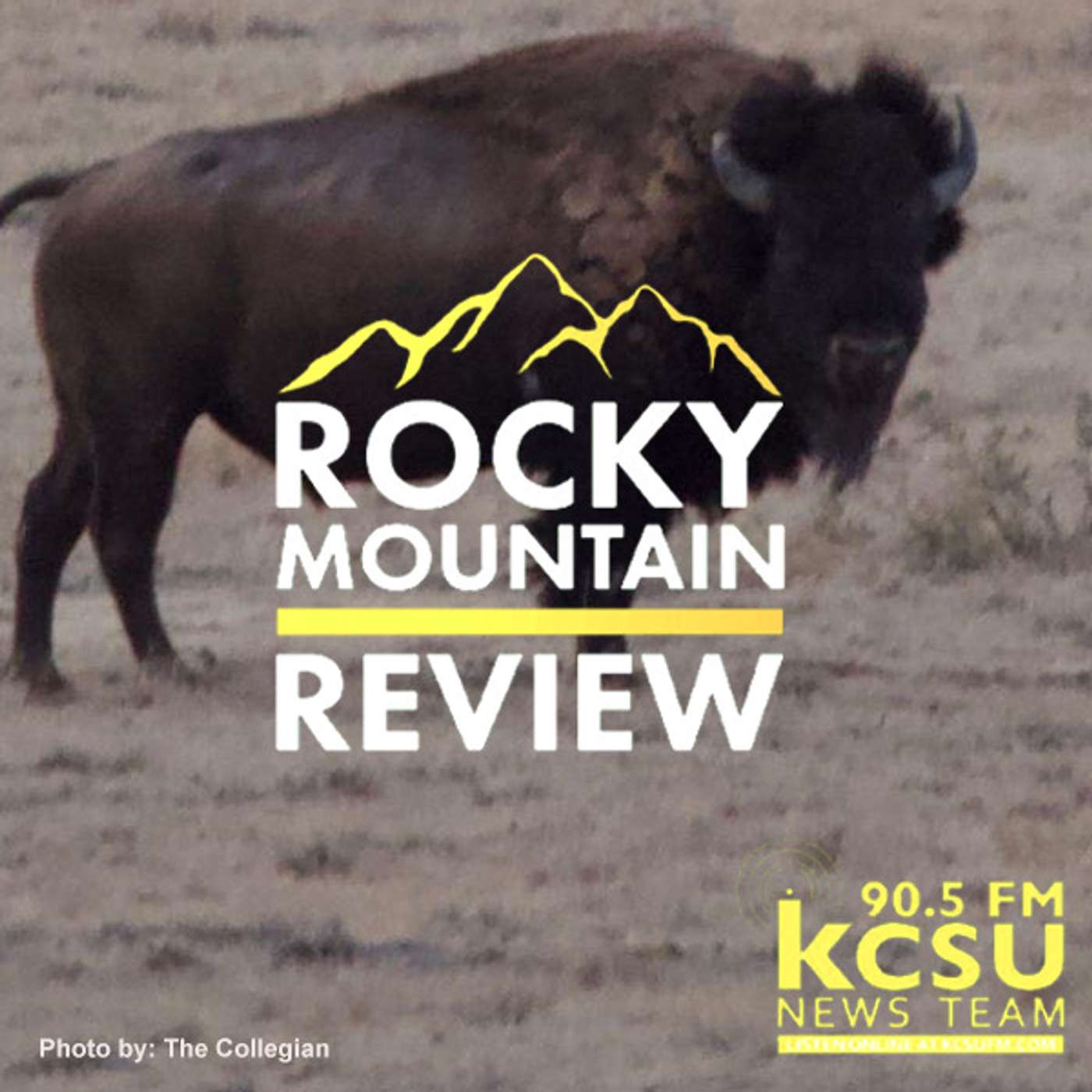 CSU bison conservation, teacher arrested for child sex abuse, and ICWA episode artwork