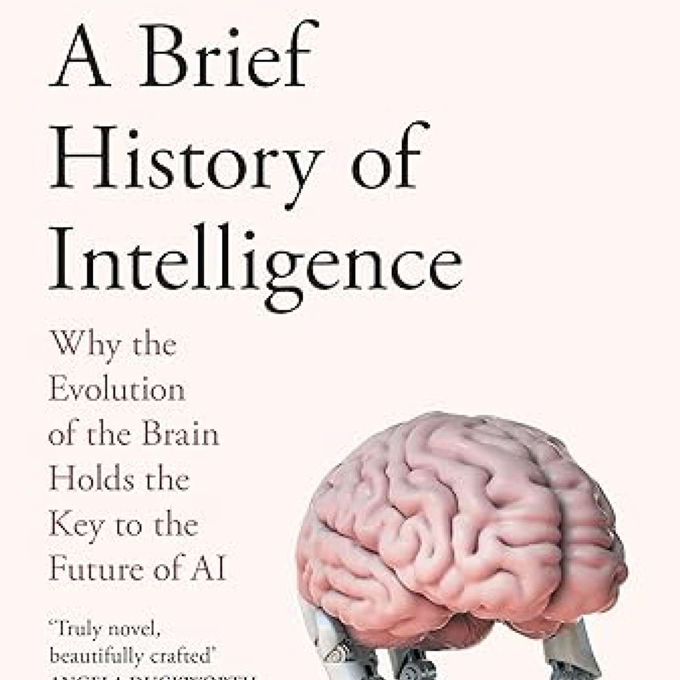 #85 ChatGPT重大突破背後的秘密 智能簡史 A Brief History of Intelligence | 小麥讀書 💡