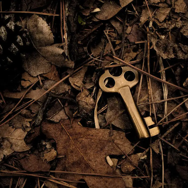 O que são? De onde vem? Como usar as preposições?