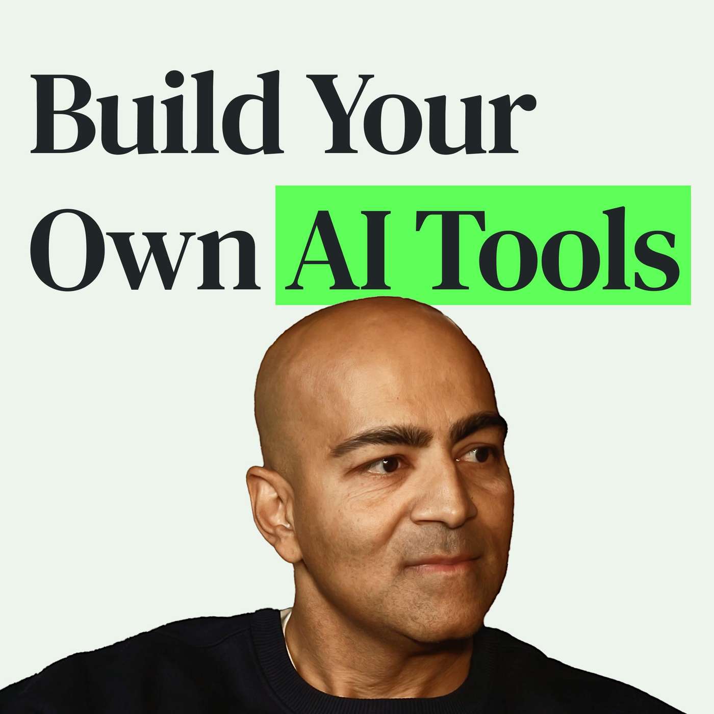The AI Tools I'm Building to Replace My Spreadsheets with Anish Acharya episode artwork