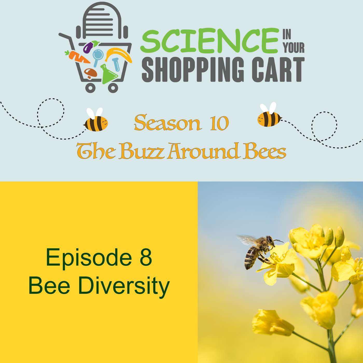 Season 10: The Buzz Around Bees | Episode 8: Bee Diversity