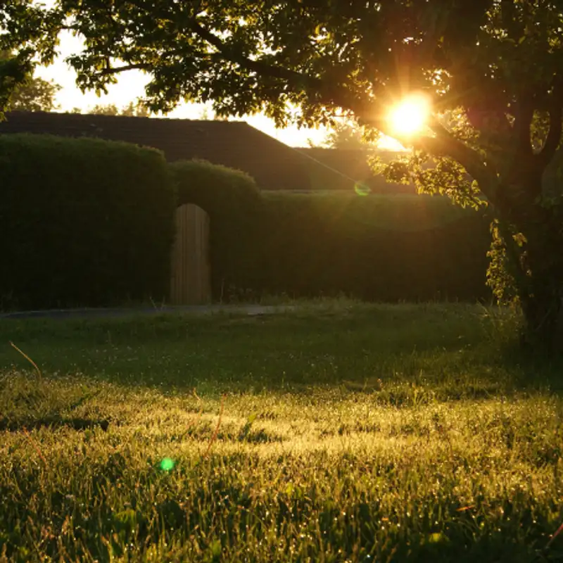 Karmels Hage – Trosbekjennelsen 29: Omvendelse og hellighet – Saligprisningene i pave Frans’ apostoliske eksortasjon Gaudete et exsultate