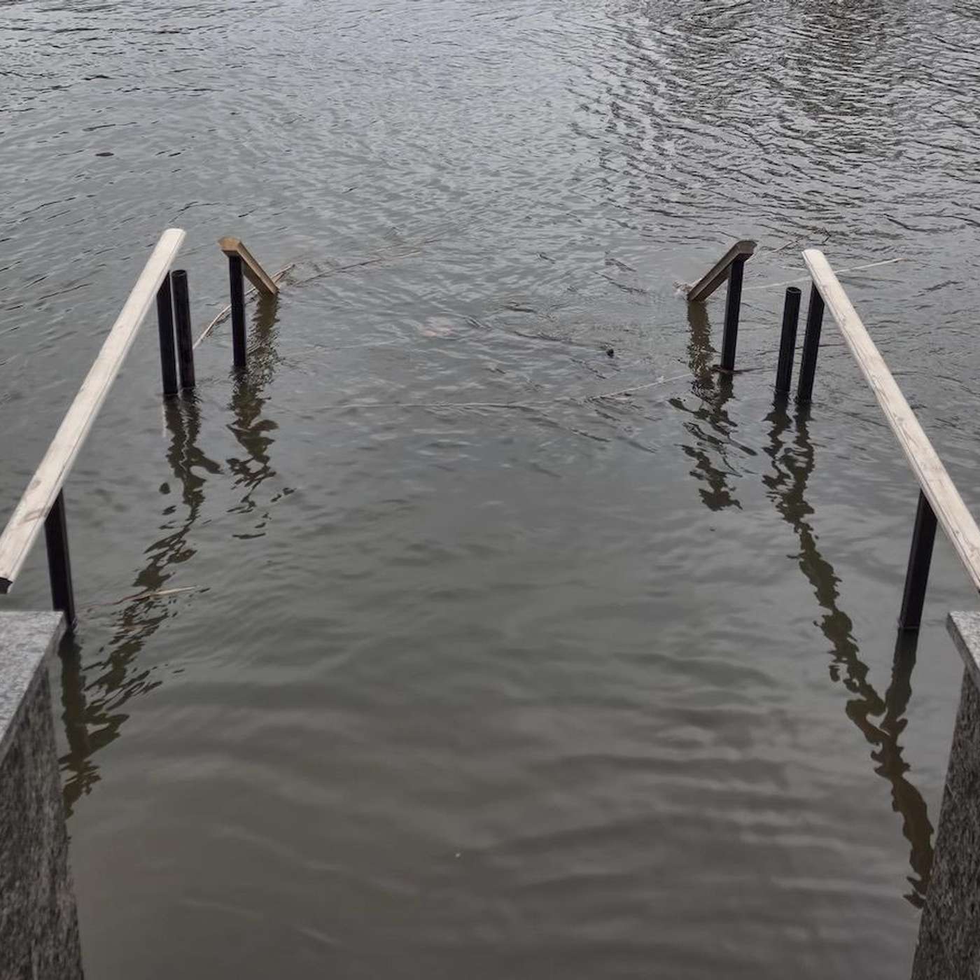 Je vote pour la science | Agence Science-Presse