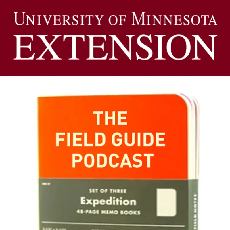 The Field Guide Podcast