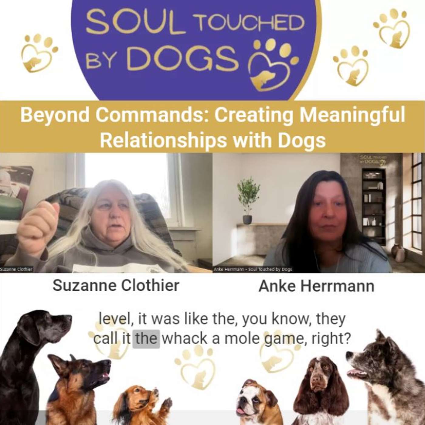 Suzanne Clothier - Beyond Commands: Creating Meaningful Relationships with Dogs from Suzanne Clothier