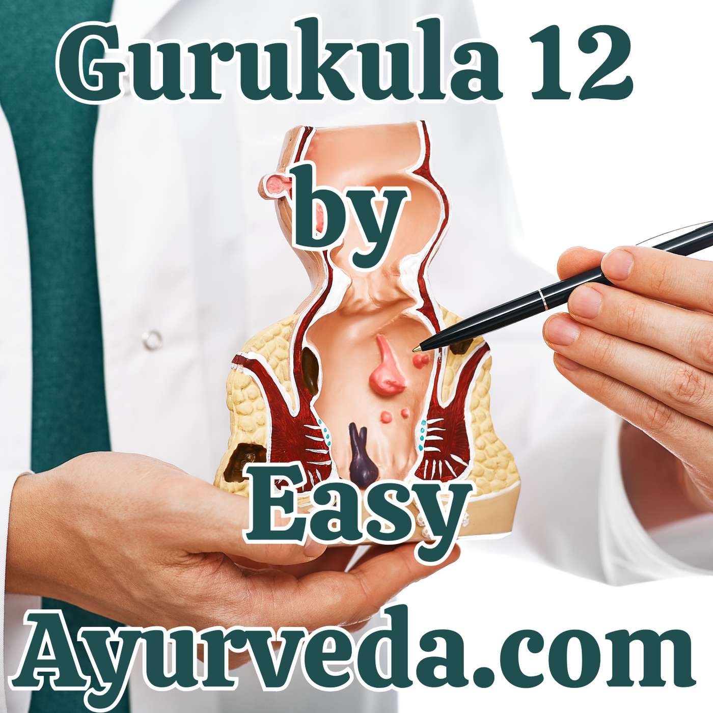 Gurukula 12: Ayurveda Management of Bhagandara /Fistula in Ano| Apamarga Ksharasutra Preparation episode artwork