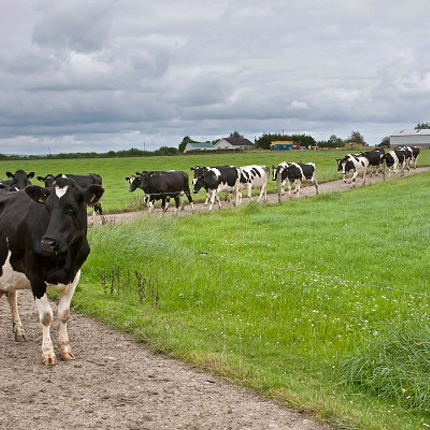 Managing cashflow to make better financial decisions – a farmer's perspective