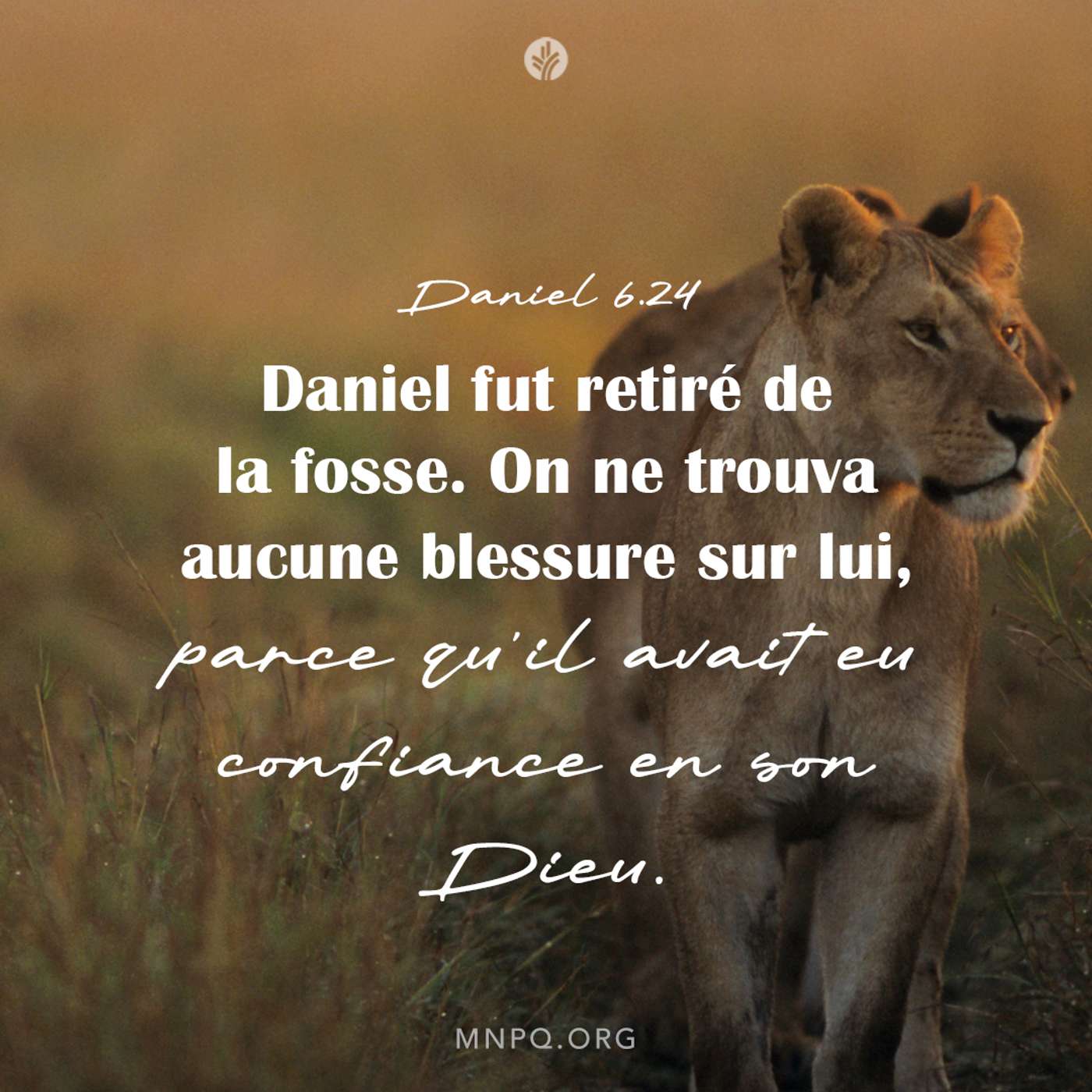 Le Dieu qui sauve episode artwork