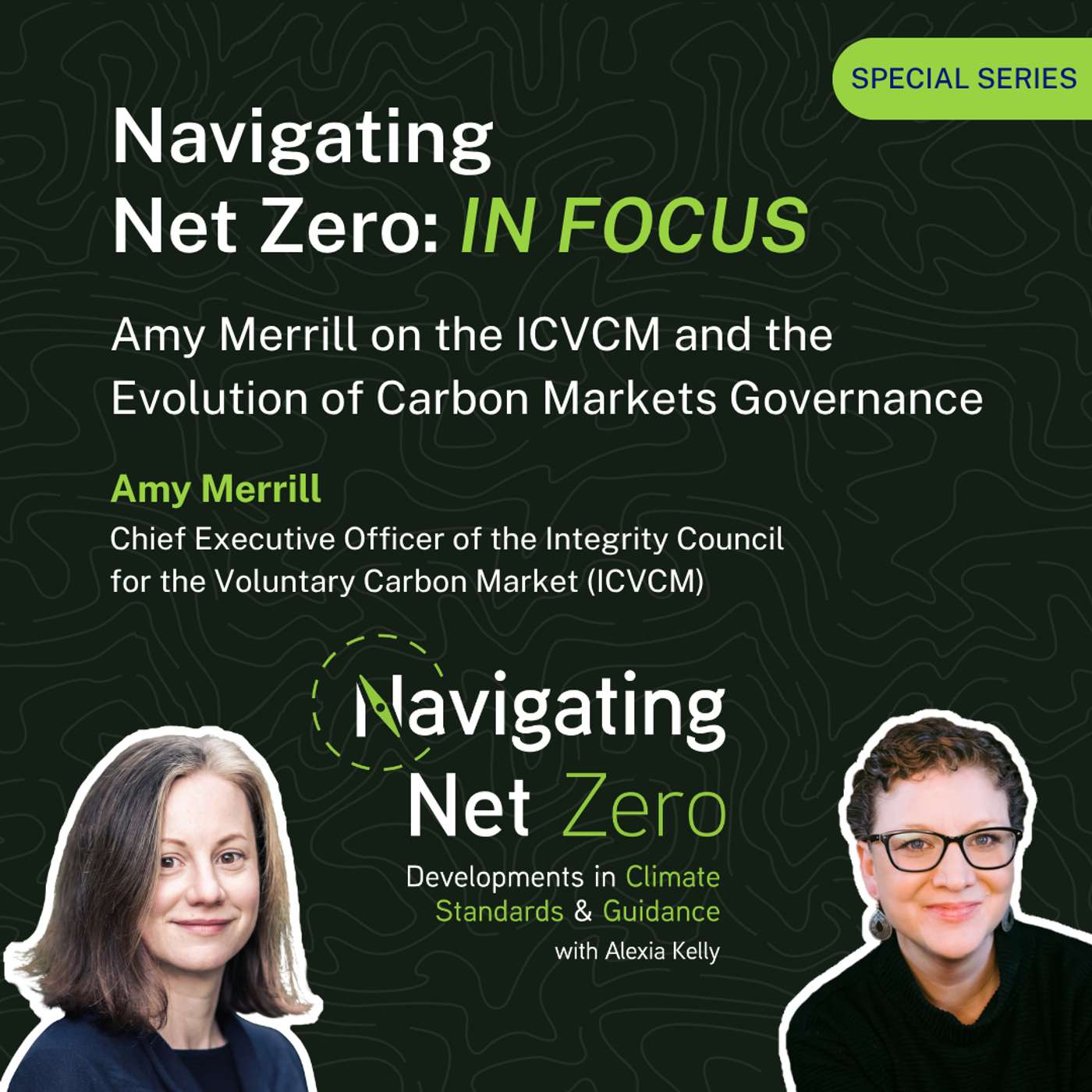 IN FOCUS: Amy Merrill on the ICVCM and the Evolution of Carbon Markets Governance episode artwork