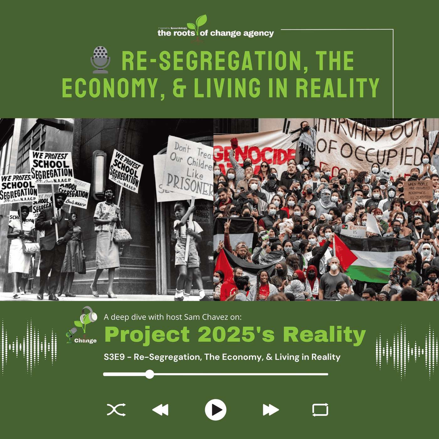 Re-Segregation, The Economy, & Living in Reality episode artwork