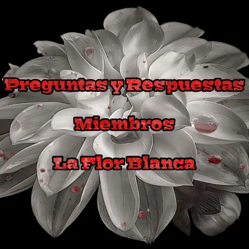 Rincón Íntimo para Miembros: Tercera Temporada 