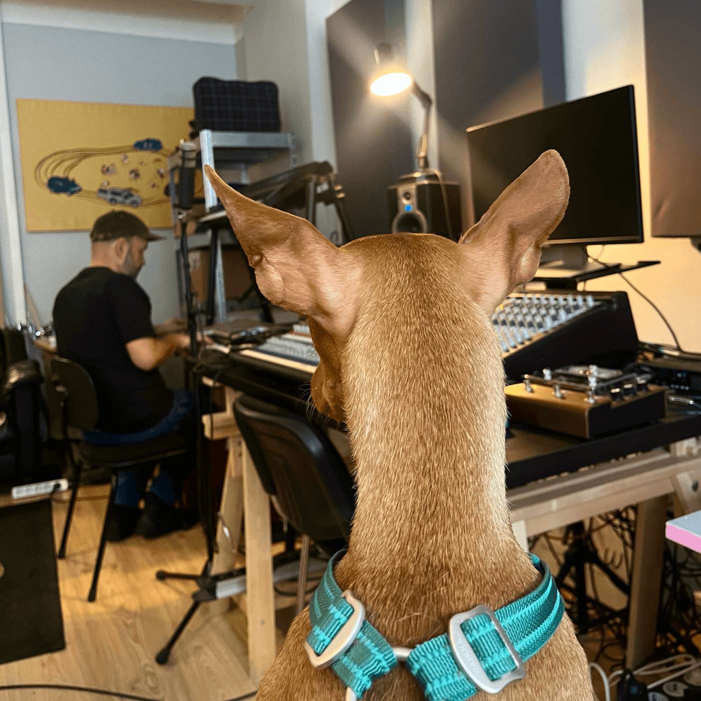 Hommik Rauliga 22.01.26 Hommik Rauliga 22.01.26