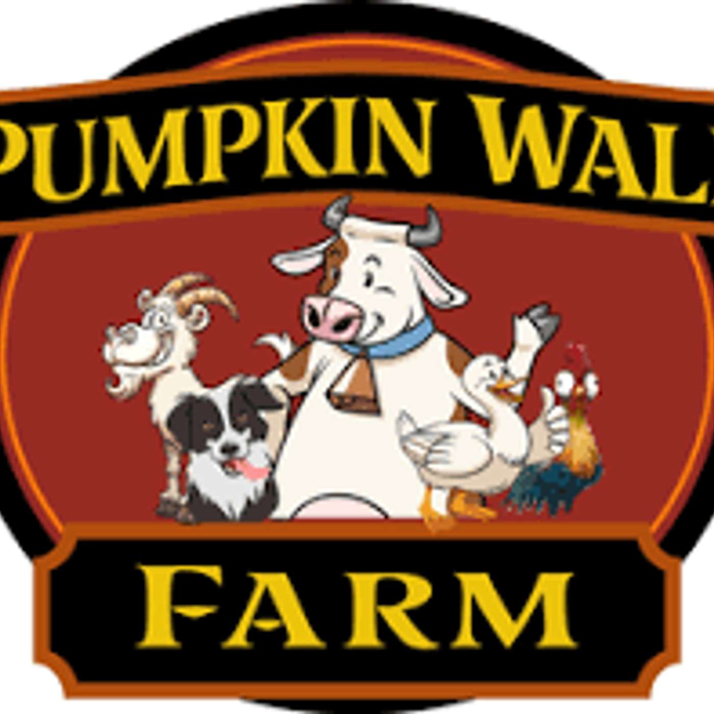 Pumpkin Wall Farm Animal Sanctuary Pumpkin Wall Farm Animal Sanctuary