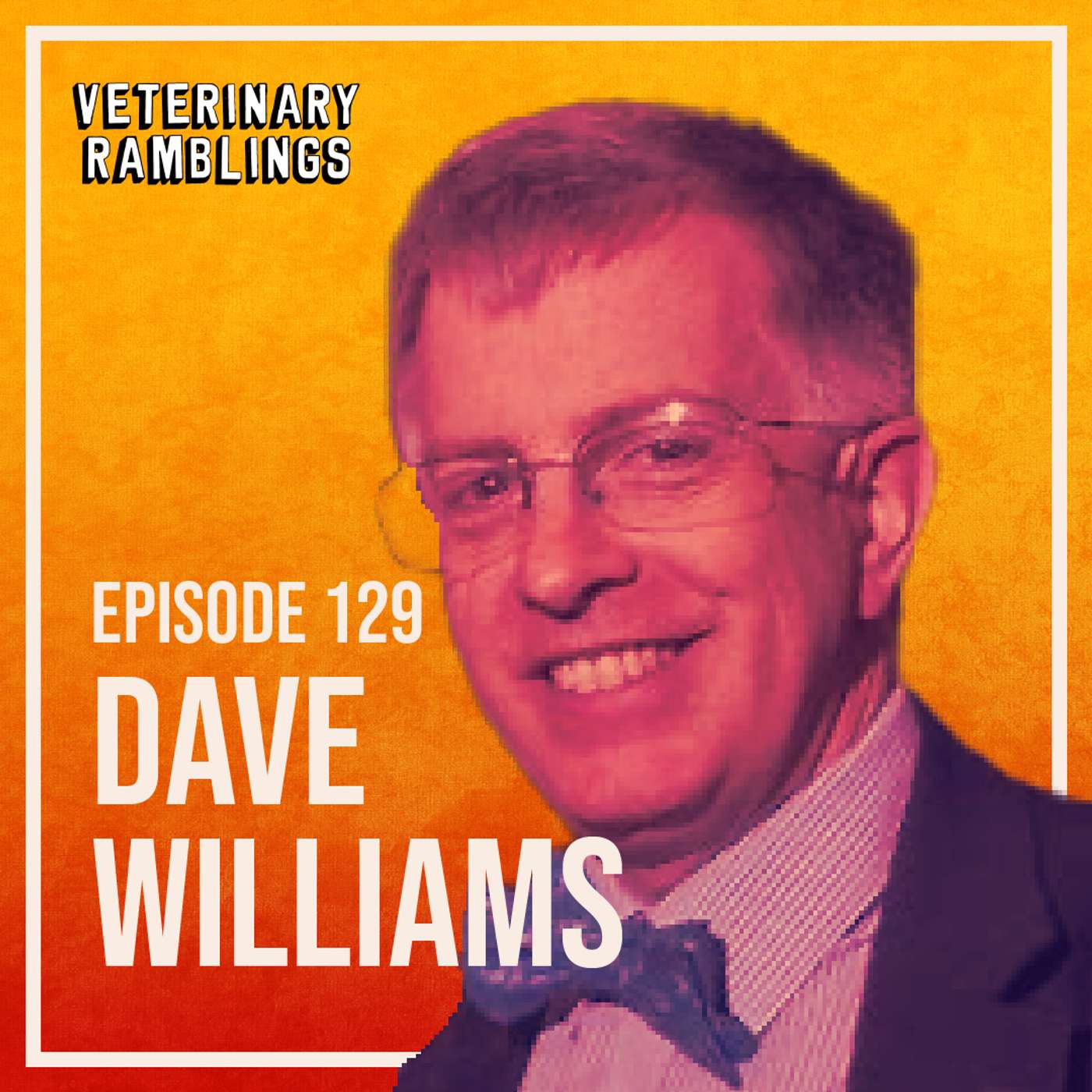 Bowties, Eyes and Surprise with David Williams