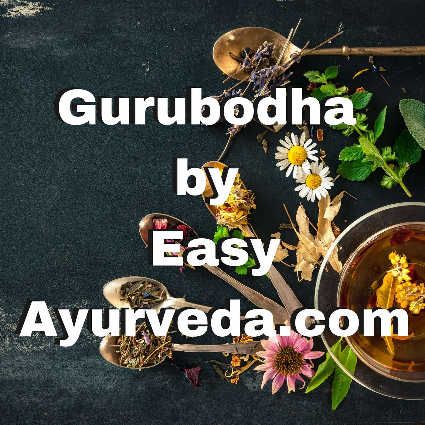 Gurubodha 52: Seasonal Herbal Drinks | Herbal Tea types| Panchakarma Before Planning for Baby episode artwork