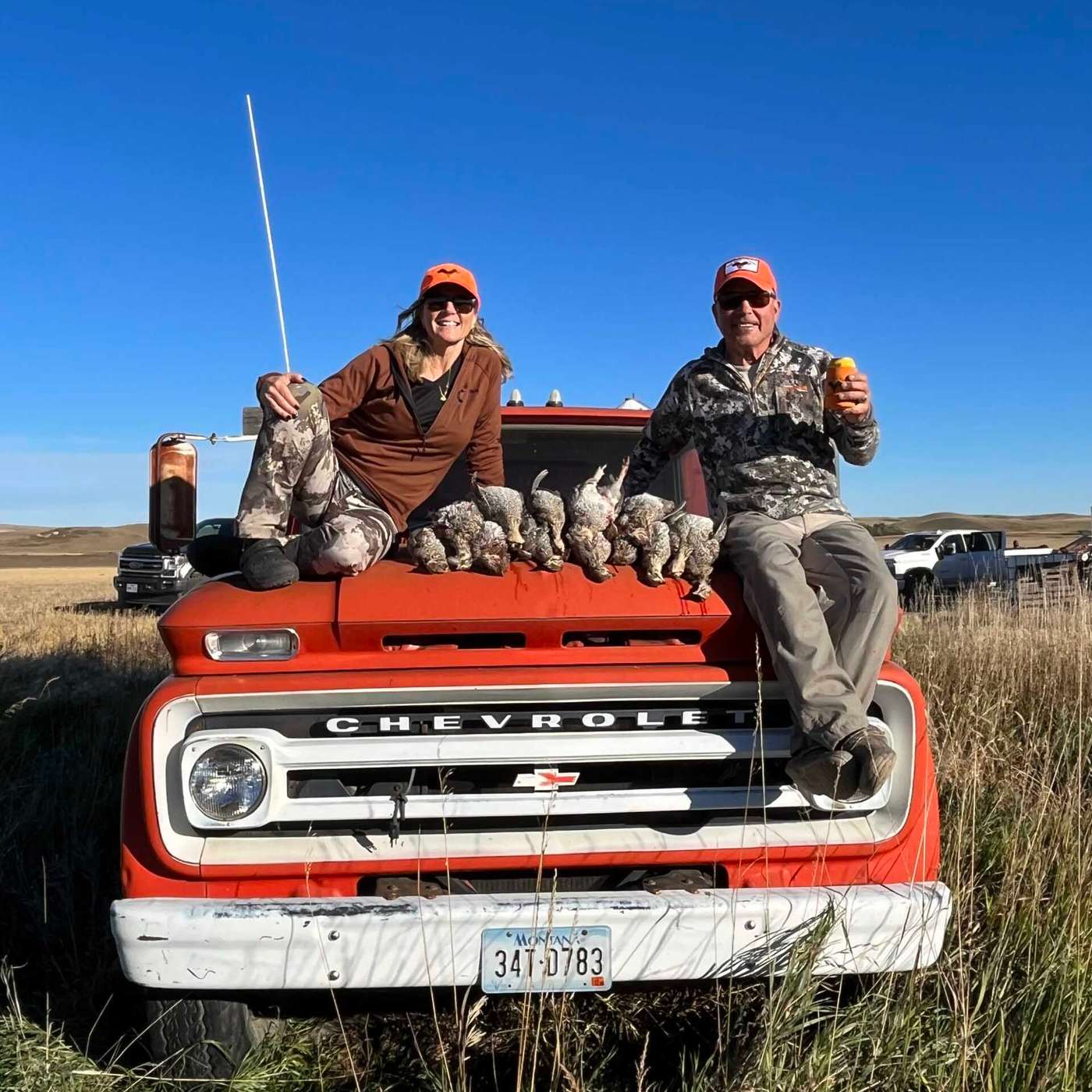 The Foundation of Bird-Dog Training: Preparation, Communication, & Consistency episode artwork