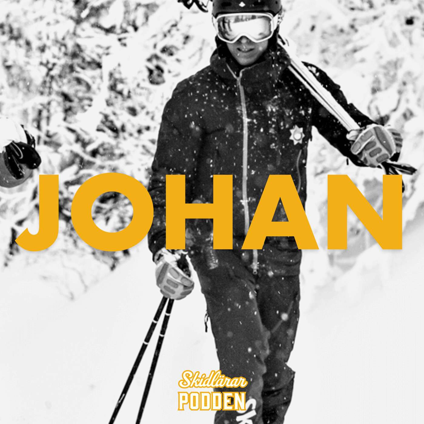 Mentorskap & Lärande – med Johan Rydén (Skiers Accredited) Mentorskap & Lärande – med Johan Rydén (Skiers Accredited)