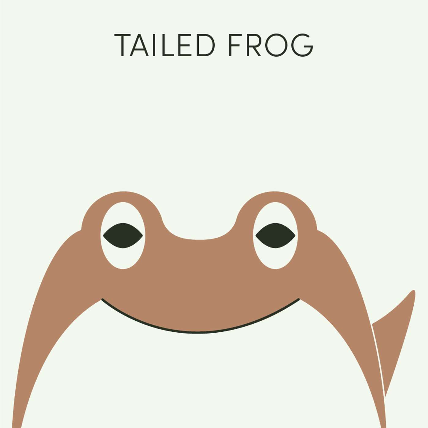 Tailed Frog | Week of November 10th Tailed Frog | Week of November 10th