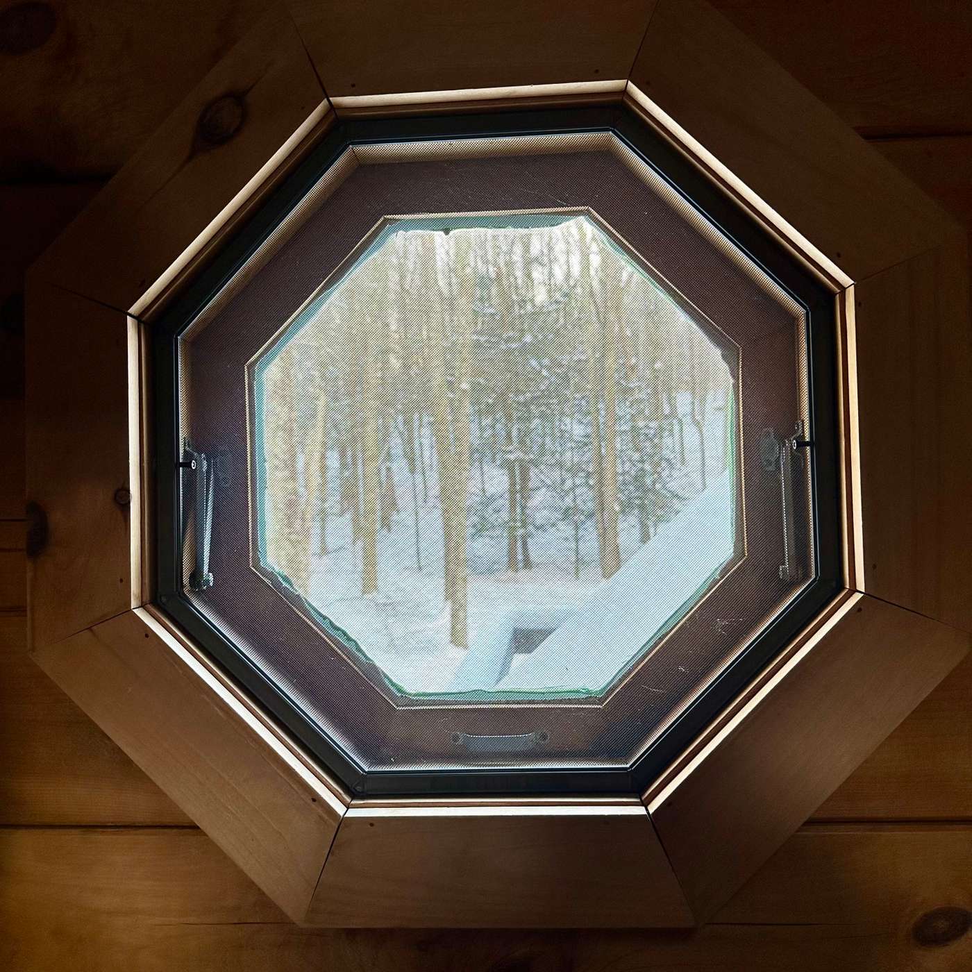 Ep. 164: Extreme Fire Behavior / Time to Thrive 2025 PREVIEW (PATREON ONLY)