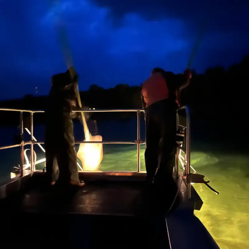 Electrofishing with the DNR On Lake Superior Near Grand Marais