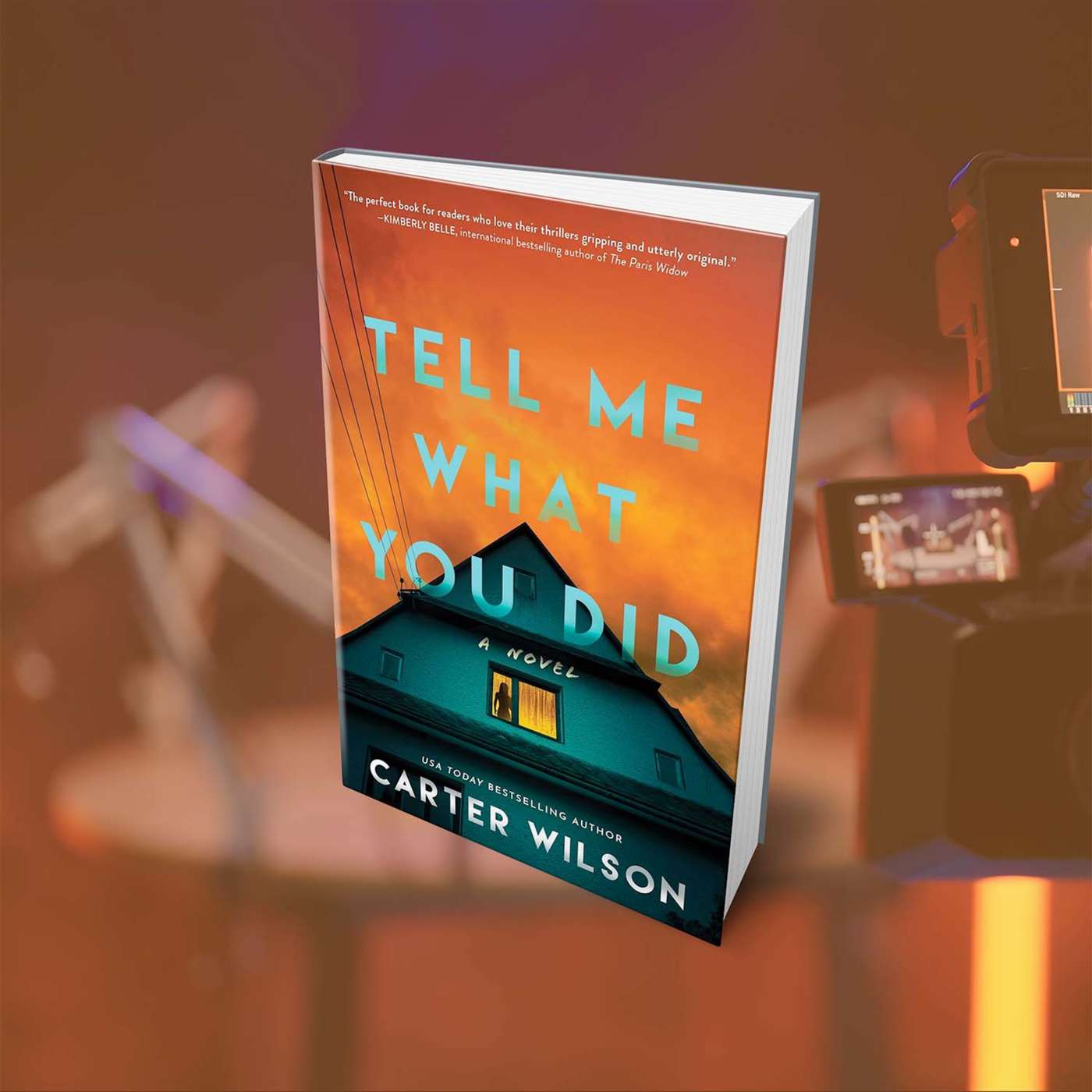 Books Read: Tell Me What You Did by Carter Wilson episode artwork