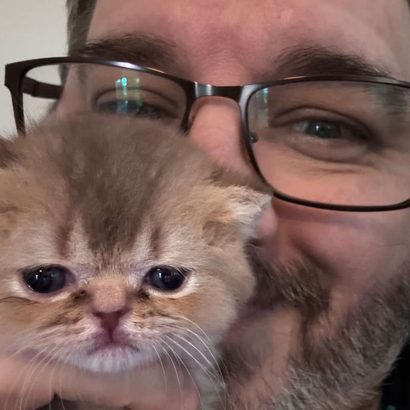 Magnus Hedemark [human]