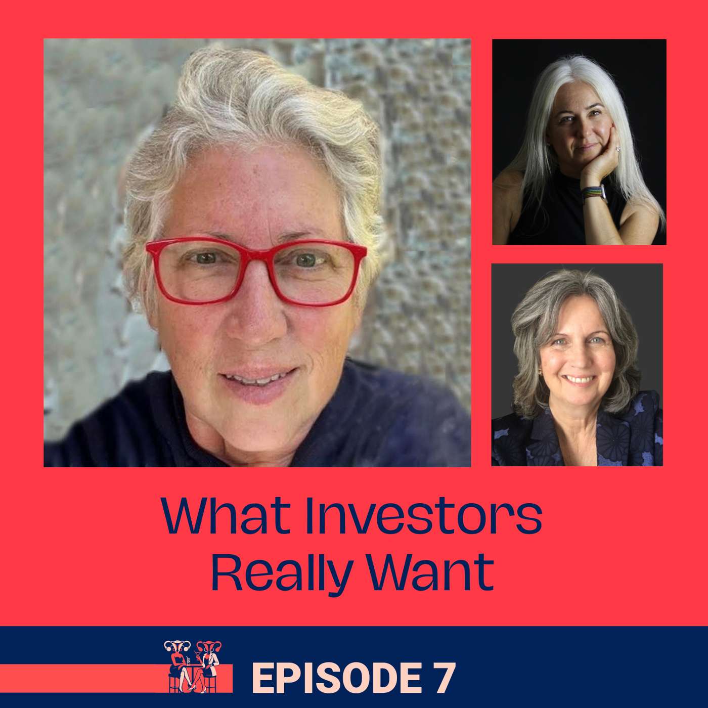 What Investors Really Want episode artwork