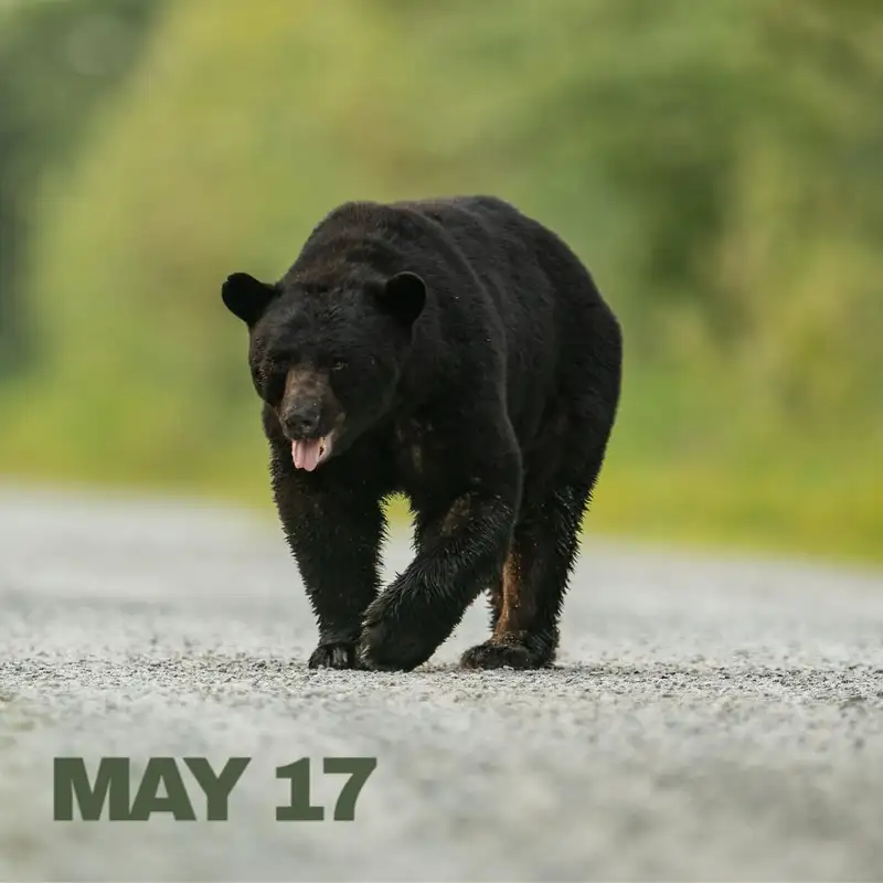 Anything can be food if you want it to be