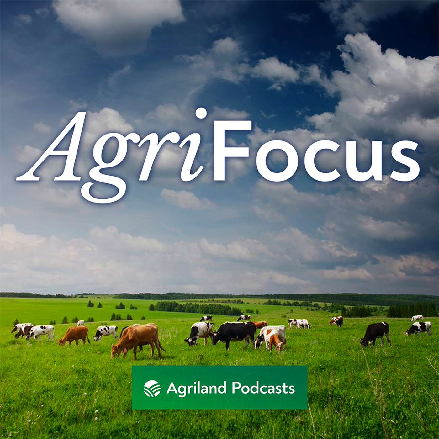 AgriFocus: Will tariffs hit food producers and consumers?