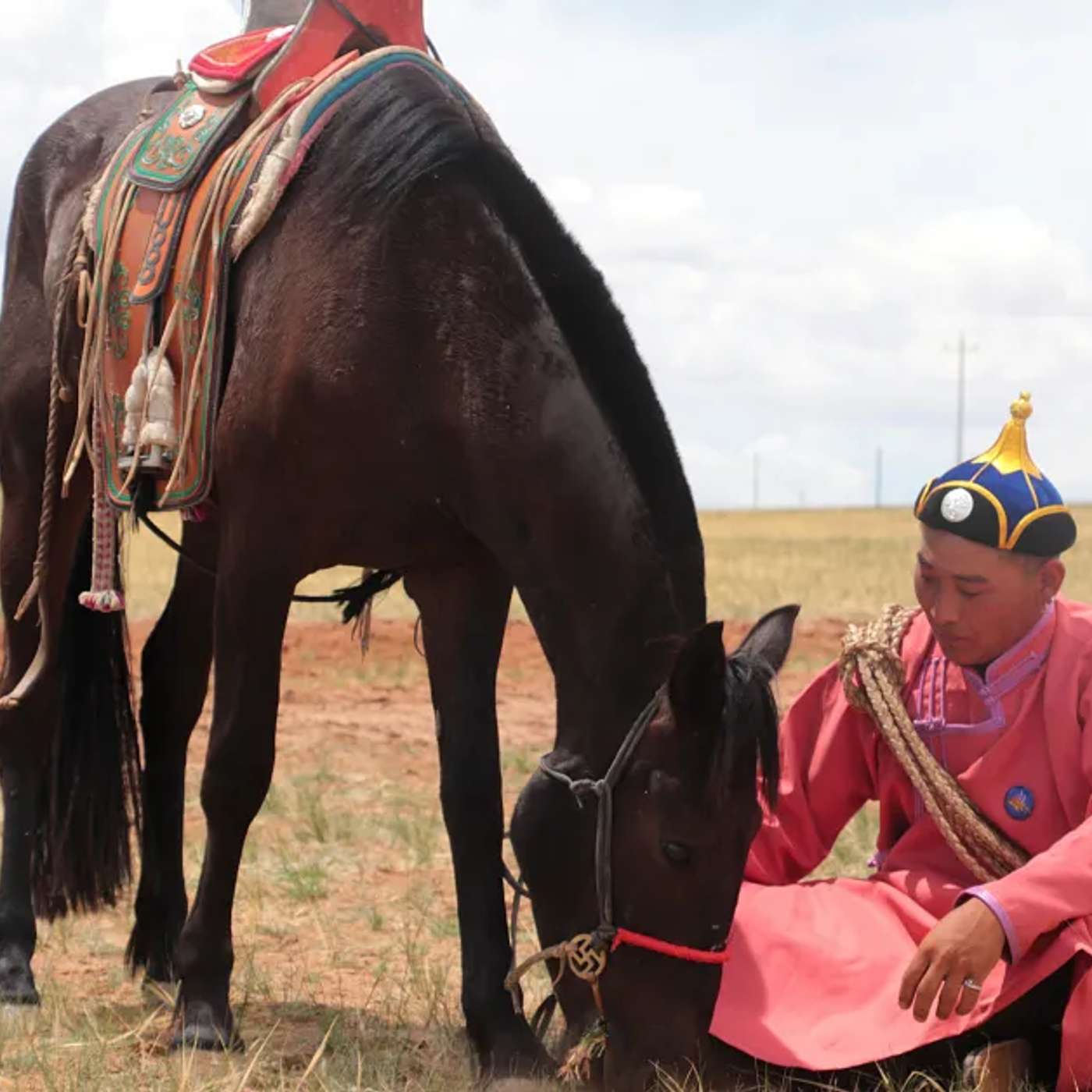 Webb Telescope Reveals Record Carbon Levels, Tiger Shark's Bizarre Diet, Genetic Horse Riding Revolution, Revolutionary Brain Scan Predicts Dementia, and more...