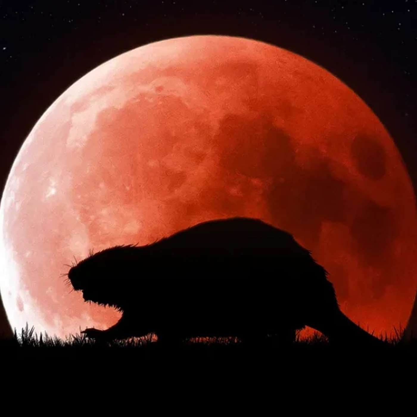 Beaver Moon, Hell Planets & Earth's Climate Crisis: November Space Report episode artwork