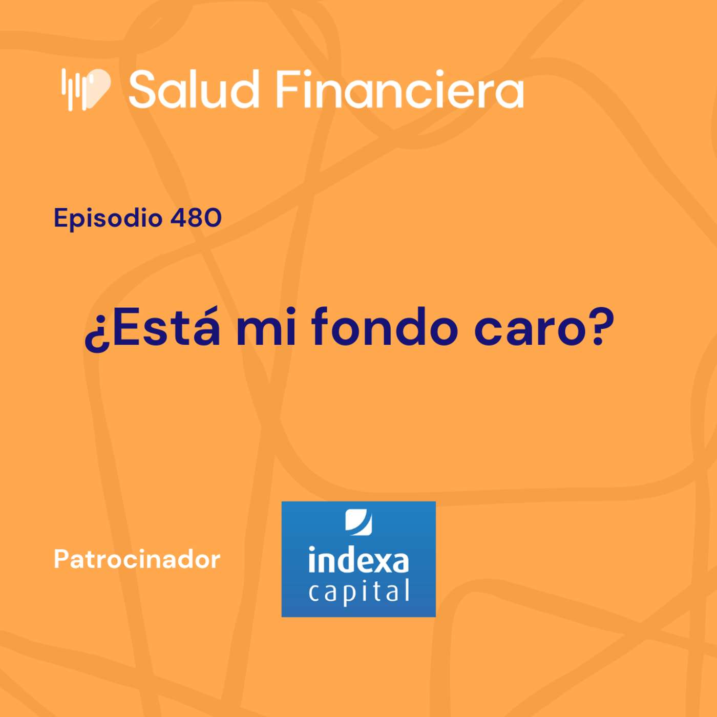 #480- ¿Está mi fondo caro?