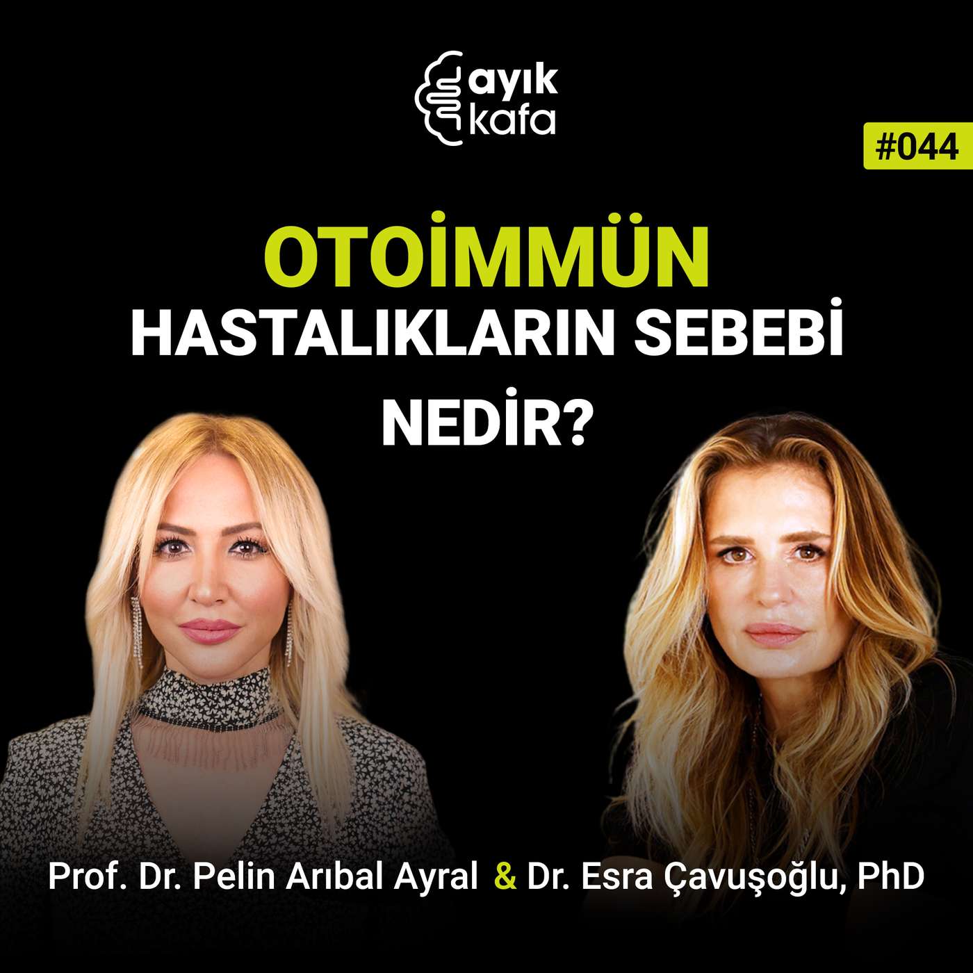 Otoimmün Hastalıkların Sebebi Nedir? | Prof. Dr. Pelin Arıbal Ayral episode artwork