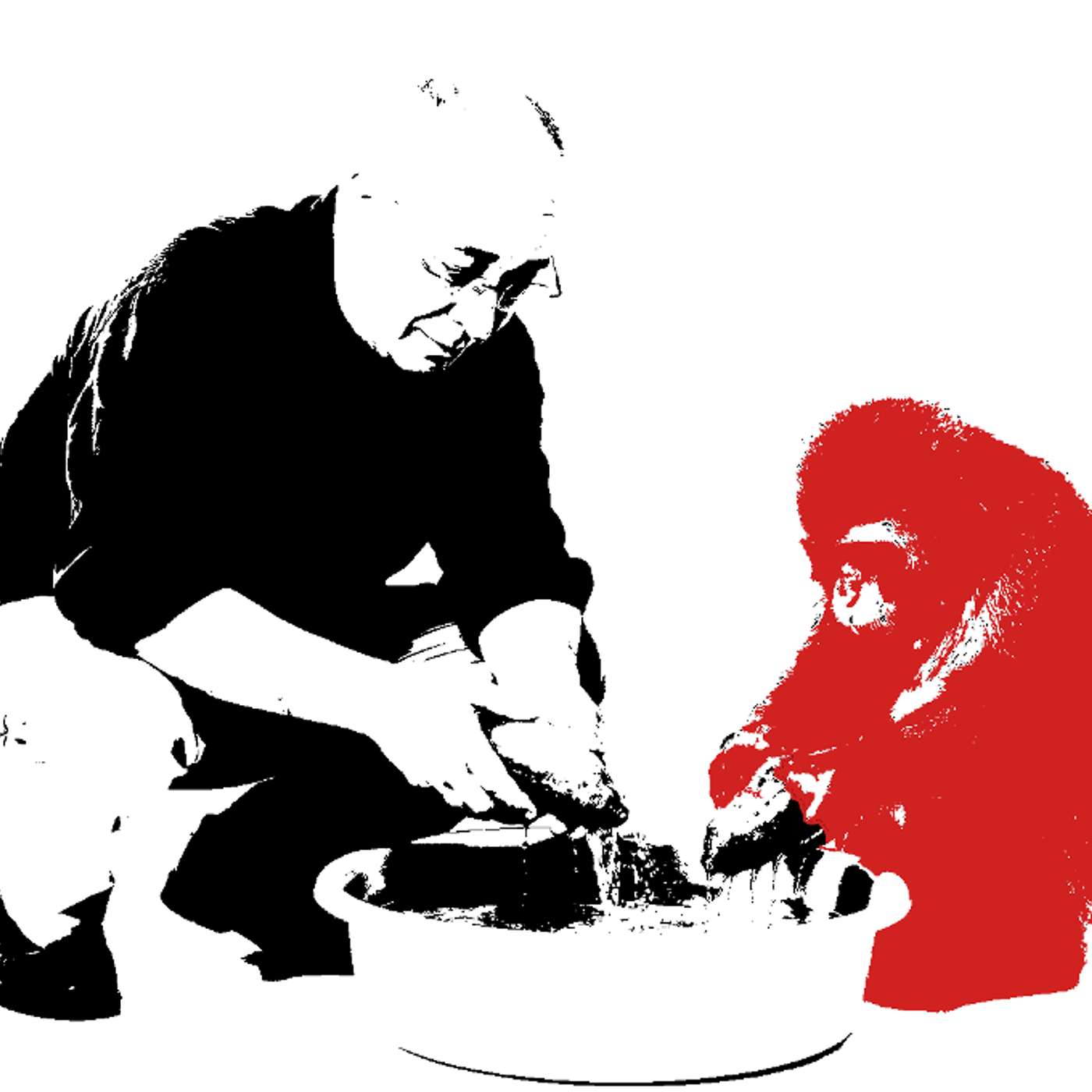 #6 Bernard Lahire et les macaques japonais qui lavent leurs patates douces dans l’eau de mer pour enlever le sable qui crisse sous les dents, car ce n’est pas très agréable : c’est qui, les champions de la cumulativité culturelle ?