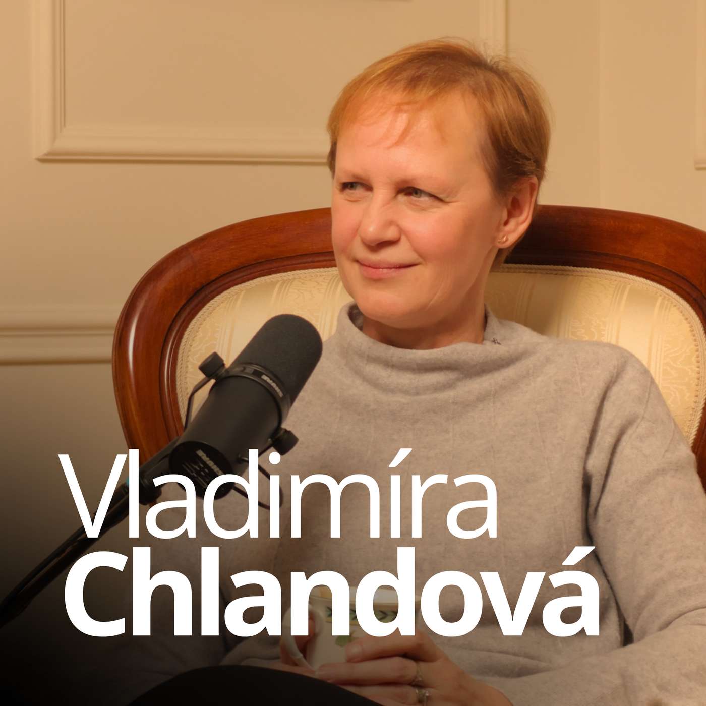 Když máš tým, musíš o své lidi pečovat | Vladimíra Chlandová, Víceprezidentka pro právo a bezpečnost episode artwork
