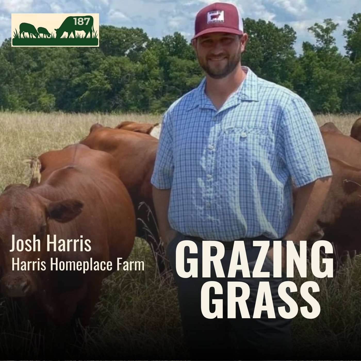 187. Raising South Poll Cattle & Direct-to-Consumer Beef with Josh Harris