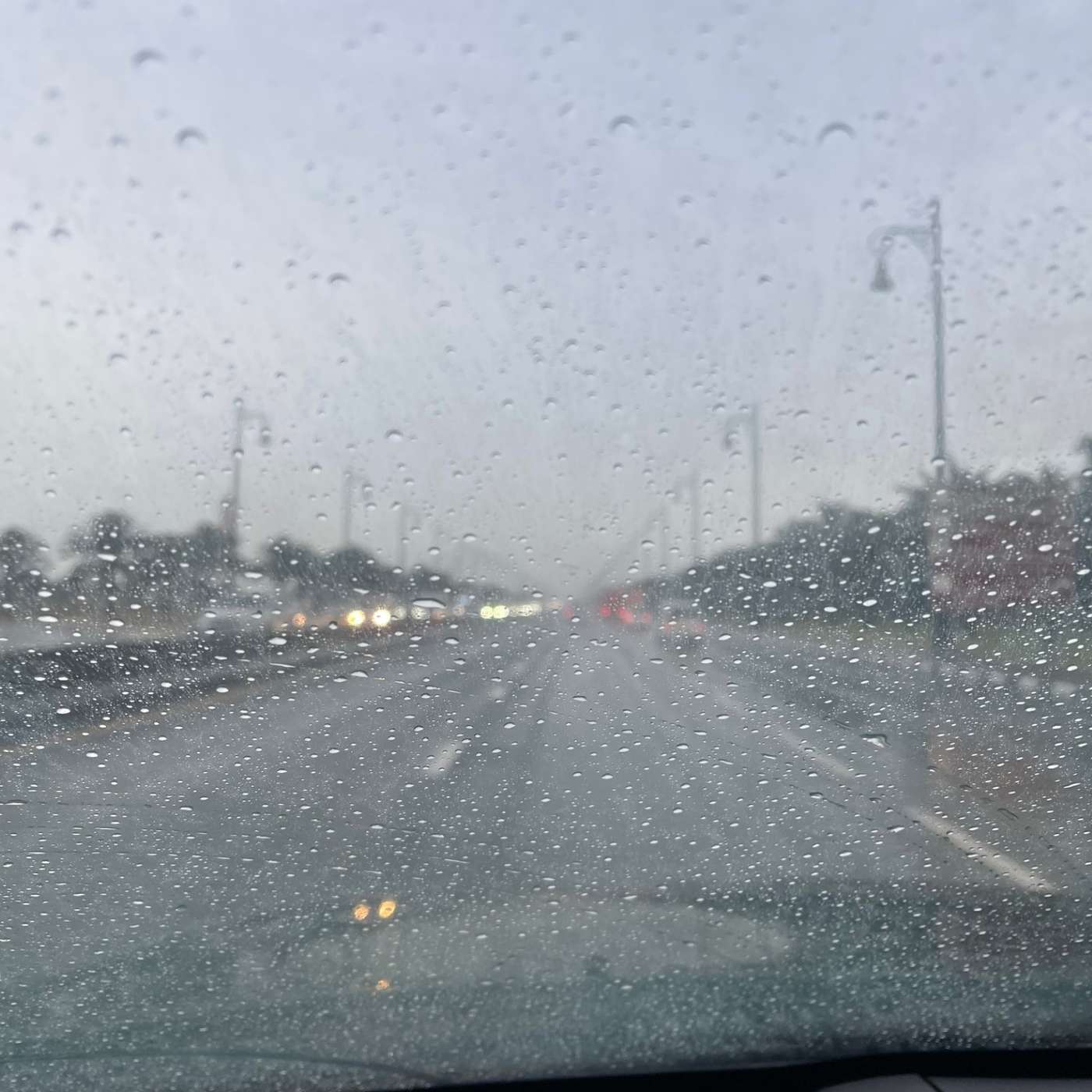 Sharjah Municipality's preparations to handle rain with Eng. Mohammed Alghazal (16.4.24)