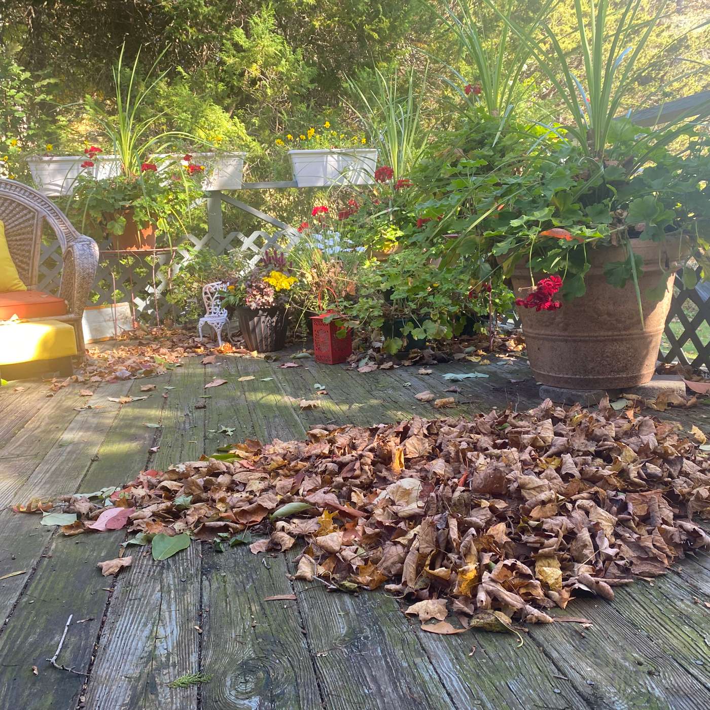 A Miniature World with Binnie Klein